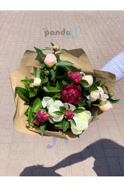 11 peonies