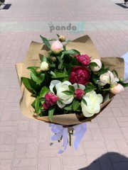 11 peonies