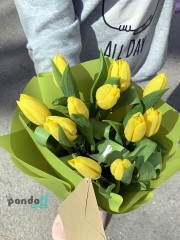 11 yellow tulips
