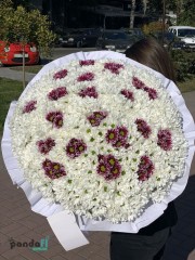 111 хризантем