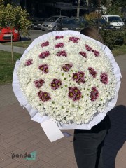 111 хризантем
