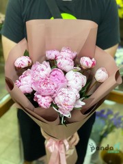 13 peonies imported