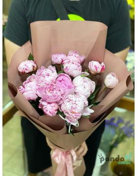 13 пионов импорт