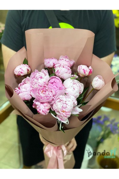 13 peonies imported