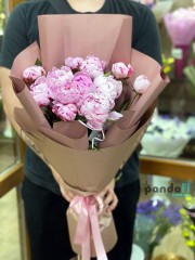13 peonies imported