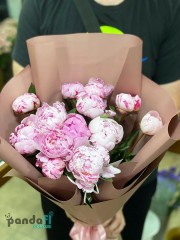 13 peonies imported