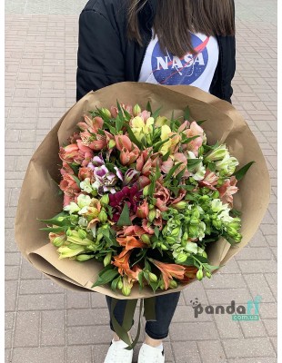15 alstroemerias