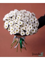 15 white chrysanthemums