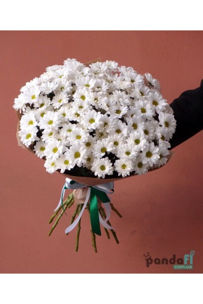 15 white chrysanthemums