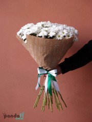 15 white chrysanthemums
