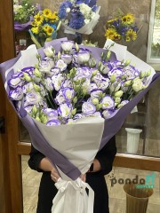 15 white and purple eustomas