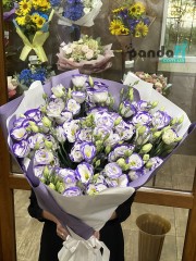 15 white and purple eustomas