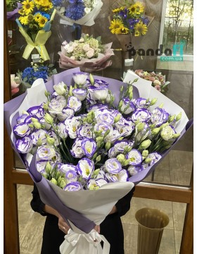 15 white and purple eustomas