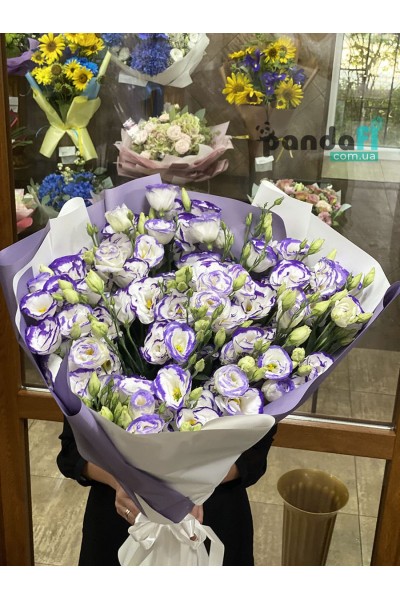 15 white and purple eustomas