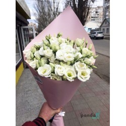 15 білих еустом