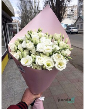 15 white eustomas
