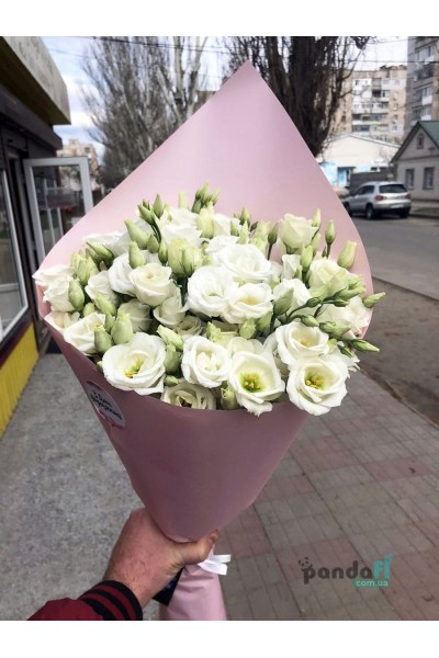 15 білих еустом