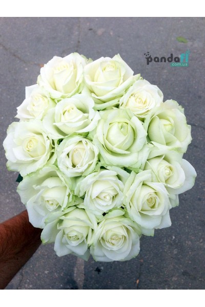 15 white roses 80 cm