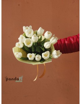 15 white tulips