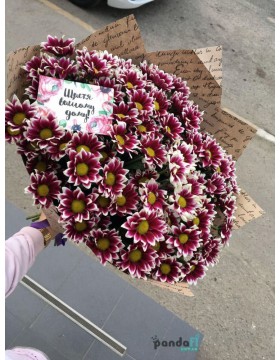 15 бордовых хризантем
