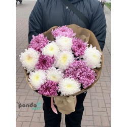 15 хризантем мікс #2