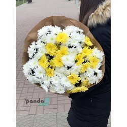 15 хризантем мікс #4
