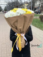 15 хризантем мікс #4
