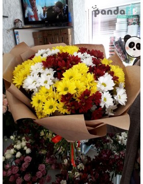 15 chrysanthemums mix #5