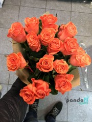15 коралових троянд 60 см