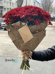 15 червоних хризантем