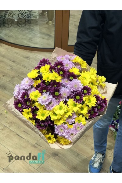 15 chrysanthemums mix of 3 colors