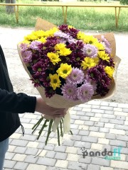 15 chrysanthemums mix of 3 colors
