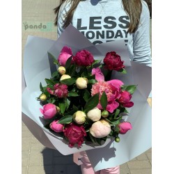 15 peonies mix