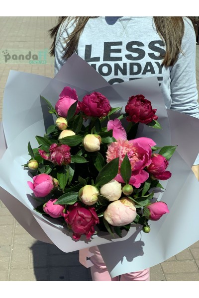 15 peonies mix