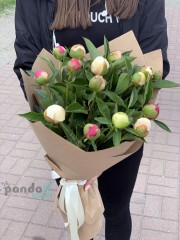 15 peonies