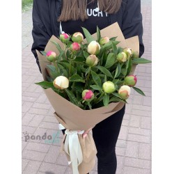 15 півонів