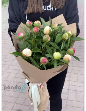 15 пионов