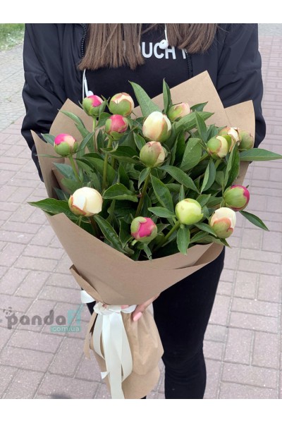15 peonies