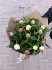 15 peonies