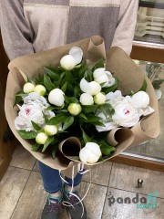 15 white peonies