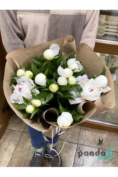 15 white peonies