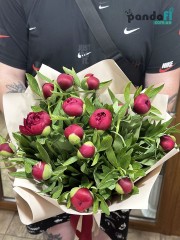15 red peonies
