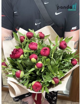 15 red peonies
