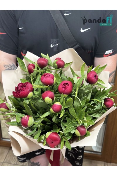15 red peonies