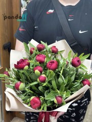 15 red peonies