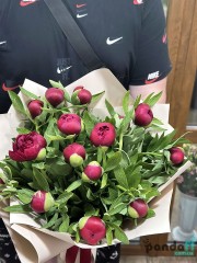 15 red peonies
