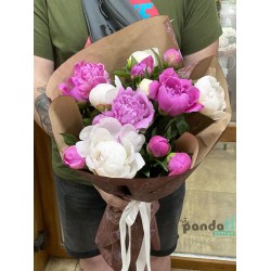 15 peonies mix #2