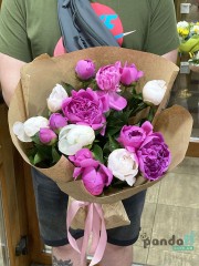 15 peonies mix #2