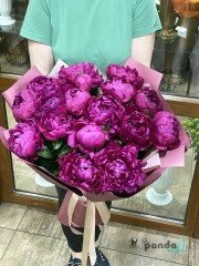 15 pink peonies #2