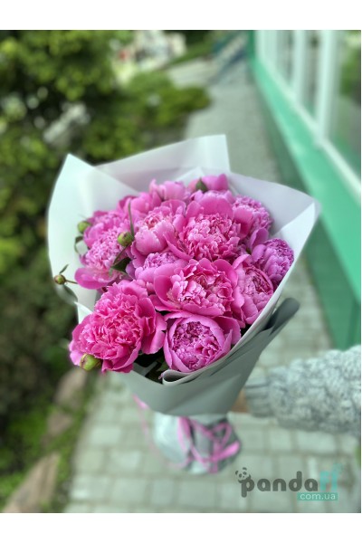 15 pink peonies